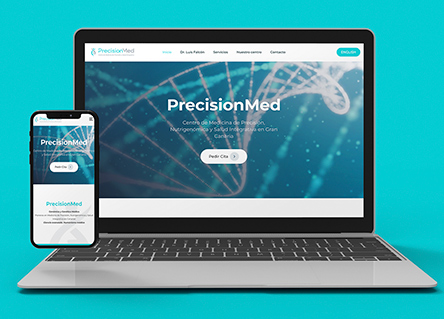 Logotipo de Precision Med